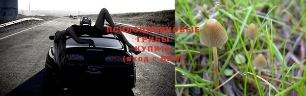 шишки Баксан