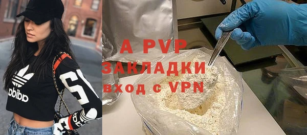 шишки Баксан