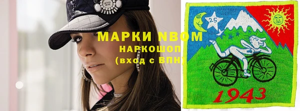 шишки Баксан