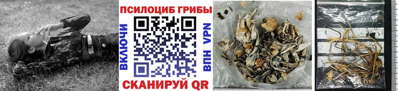 Псилоцибиновые грибы мицелий Туапсе